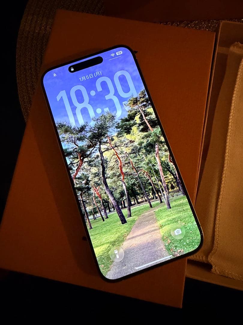 iPhone 15 ProMax 512GB LVケース付き