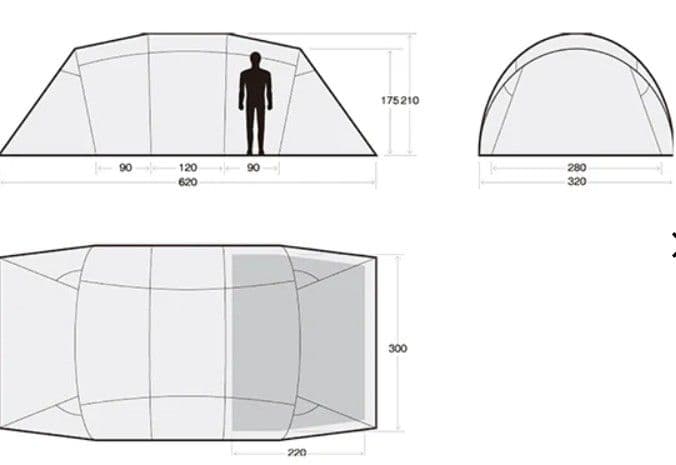 SABBATICAL サバティカル　アルニカ