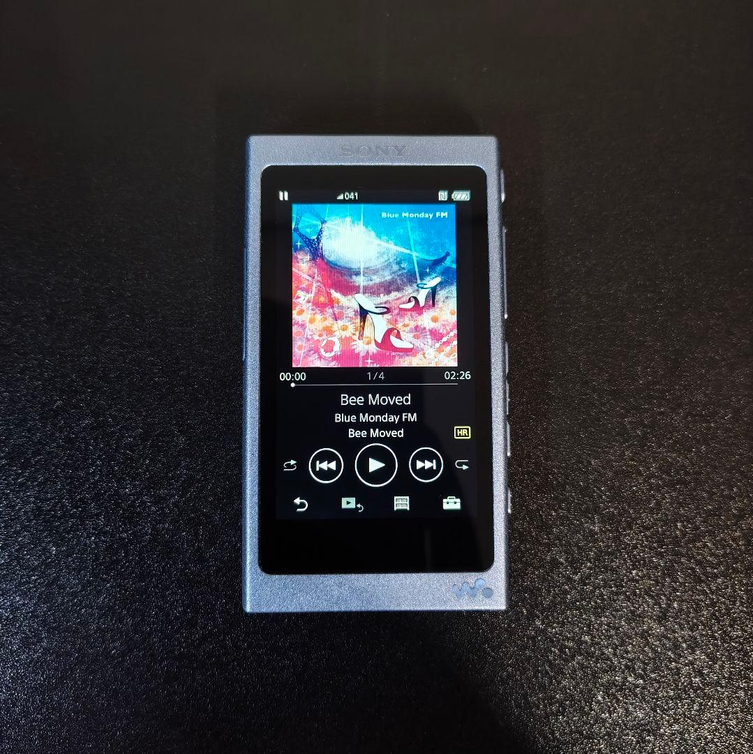 【美品】ウォークマン NW-A45 ムーンリットブルー +256GB SDカード