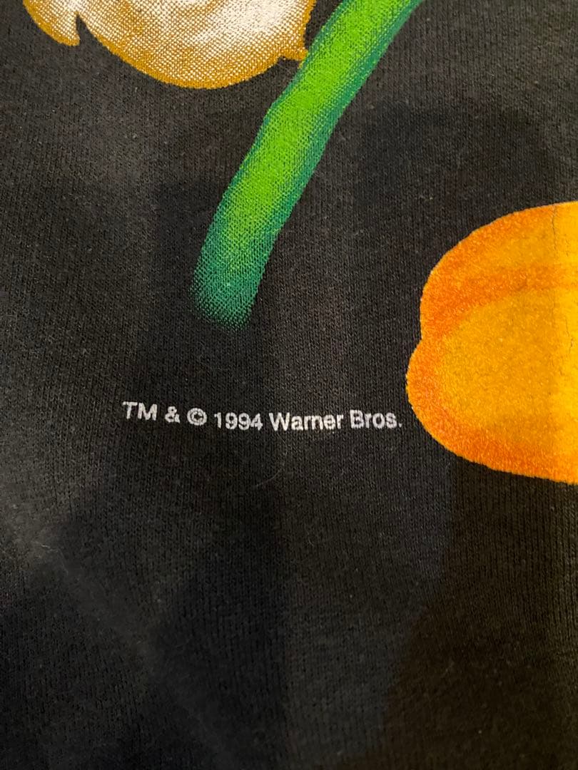 1994年　ルニートゥーン　トウィーティー　90s クリスマス　スウェット