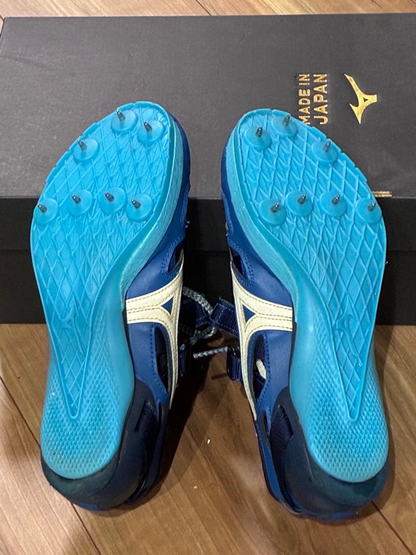 クロノインクスネオジャパン23.0㌢