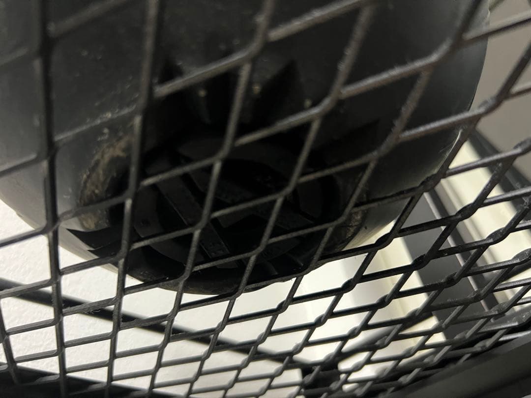 大幅値下げ！アガベ　白鯨　大株　コレクション株　鉢プレゼント