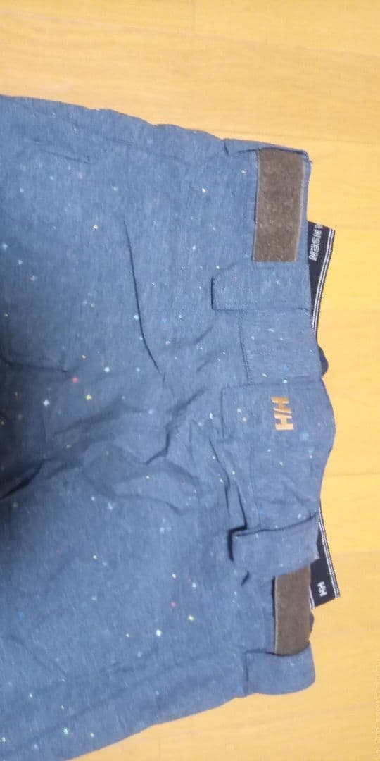 ヘリーハンセン　スキーウェア メンズ 　L パウダー　オフピステ