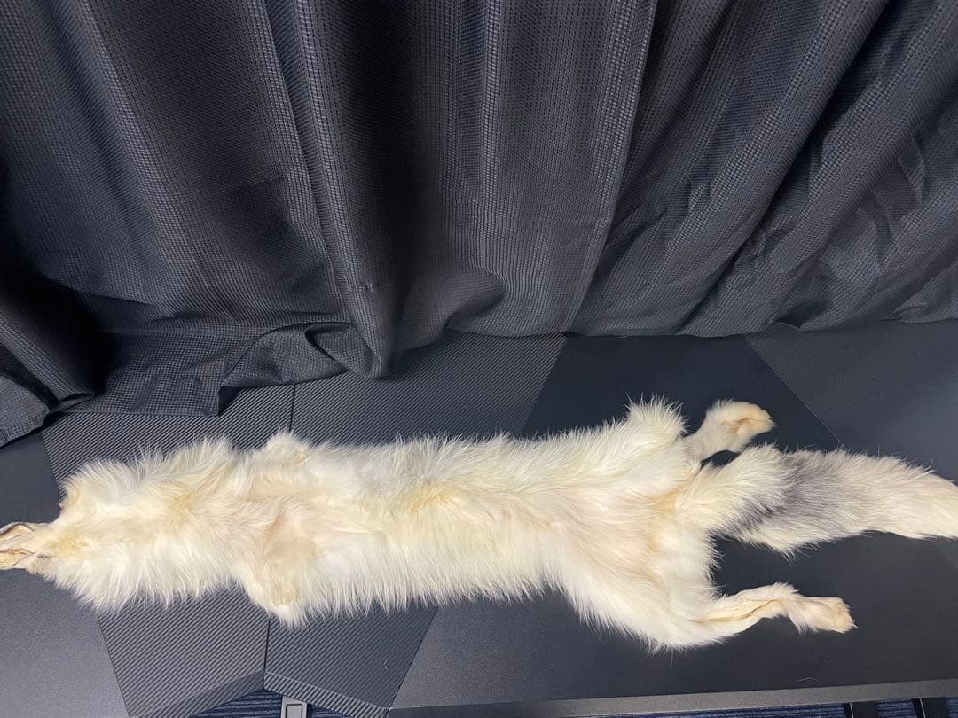 なのちゃん専用　フォックス　狐　原皮