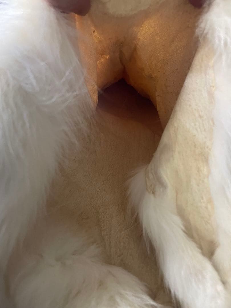 なのちゃん専用　フォックス　狐　原皮