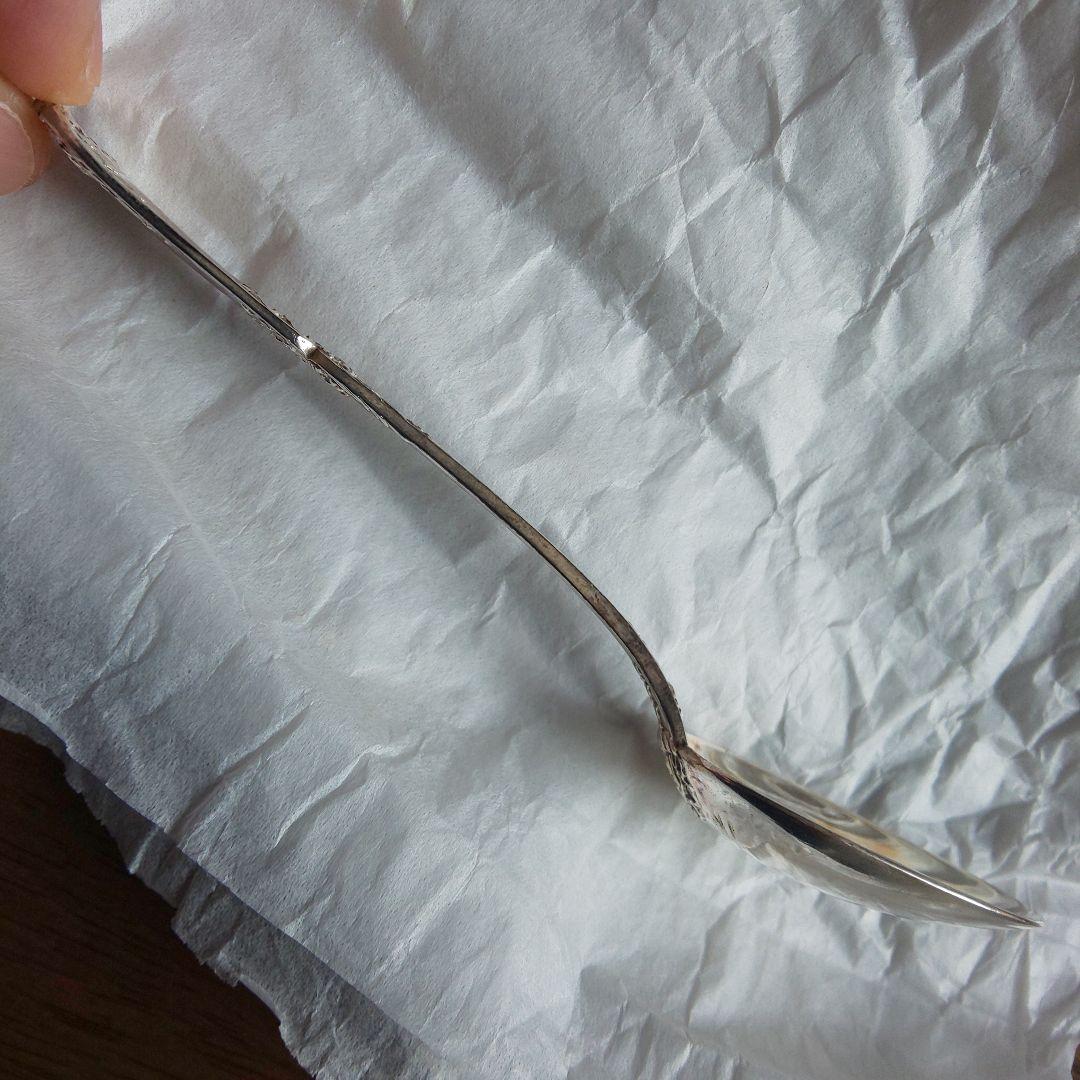 ピュイフォルカ スプーン