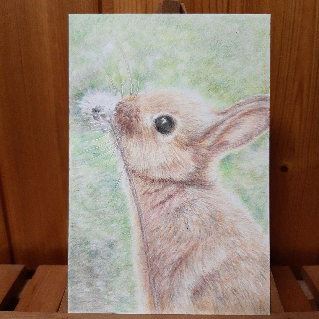 PP様　ご依頼品　色鉛筆画　手描き