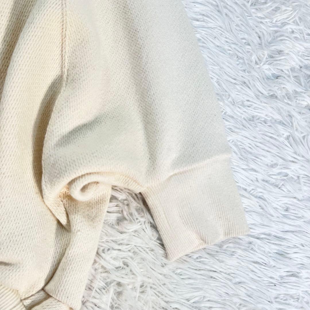 未使用タグ付きコグザビッグスモークHAVANASWEATSHIRTドローコード