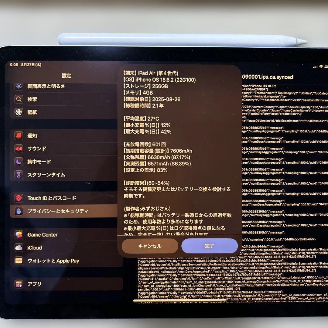iPad Air 第4世代 cellular 256GB ブルー おまけ付き