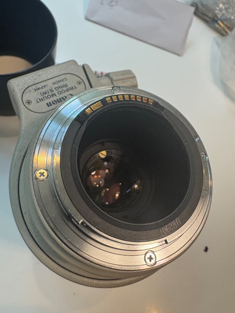 レンズ(単焦点) Canon EF 100-400mm 1:4.5-5.6 ULTRASONIC