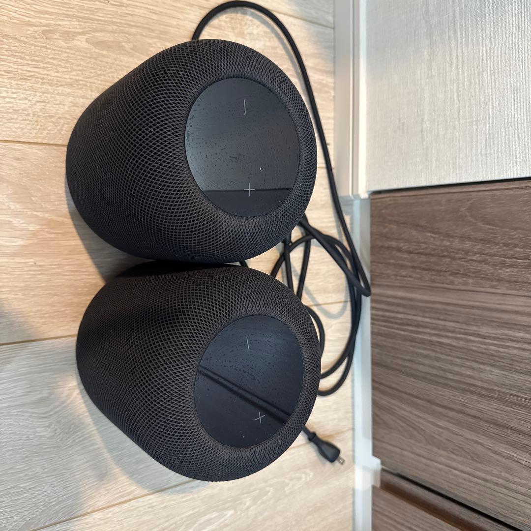 Apple Pod ブラック 2台セット