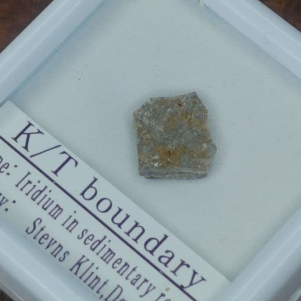 入手不可！小惑星のかけら Ｋ-Ｔ境界層（K/Pg境界頁岩）　標本　中