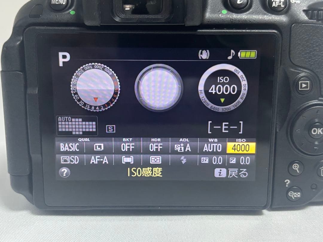 N.N✨美品 使用回数少な目✨ニコン Nikon D5300 ダブルレンズ