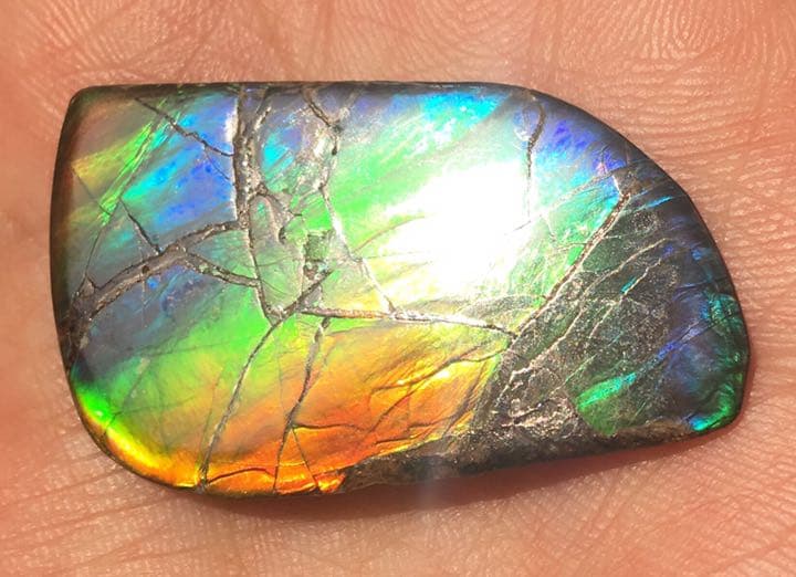 【セール】IMPERIAL アンモライト 両面レインボー レアルース