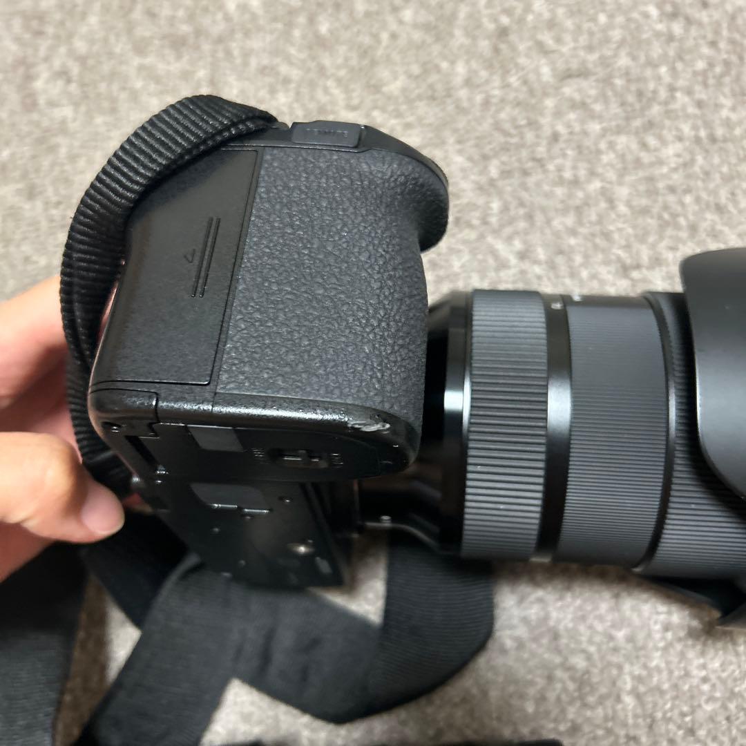 LUMIX S5ii+単焦点50mm+SIGMA24-70mm DGDN