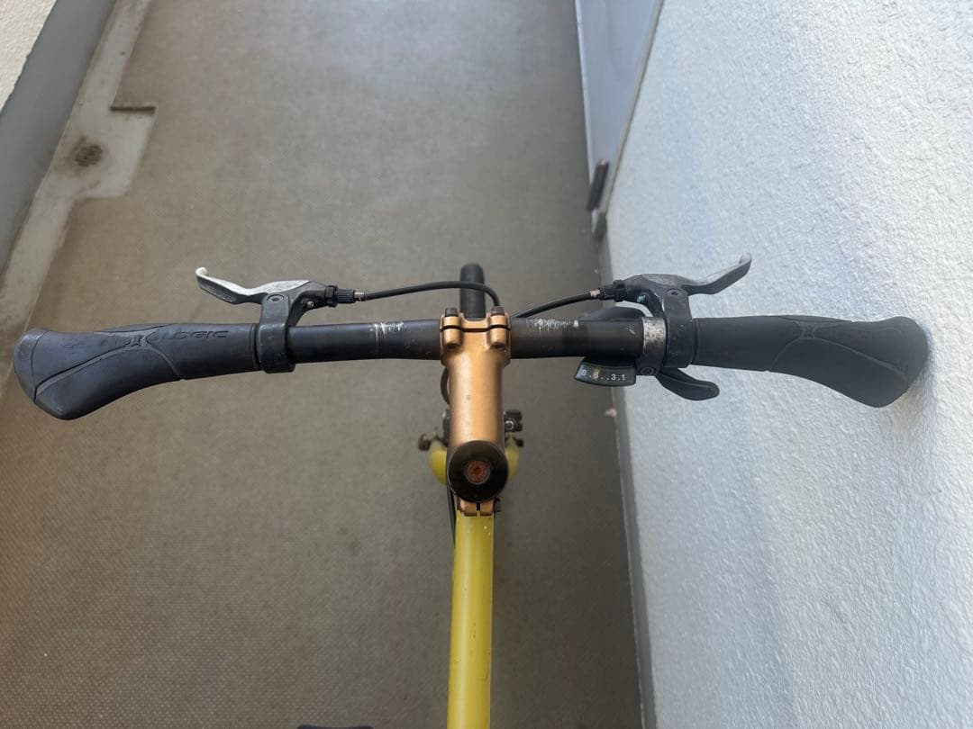 Tern MINIVELO CREST マットオーカー　46