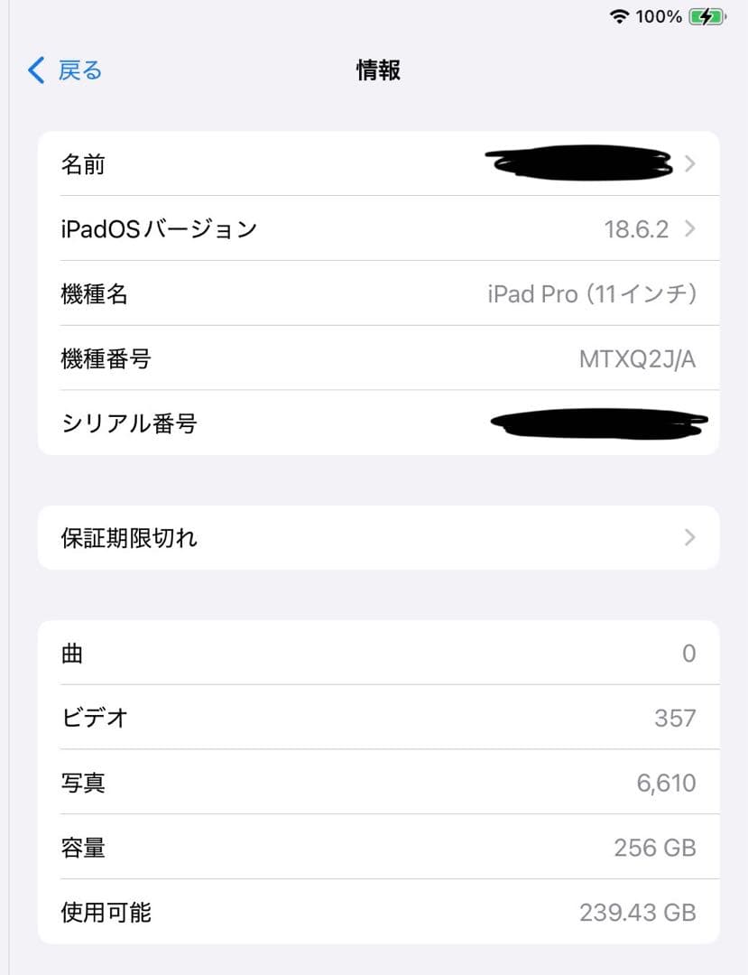 iPad Pro 11インチ 256GB + Apple Pencil