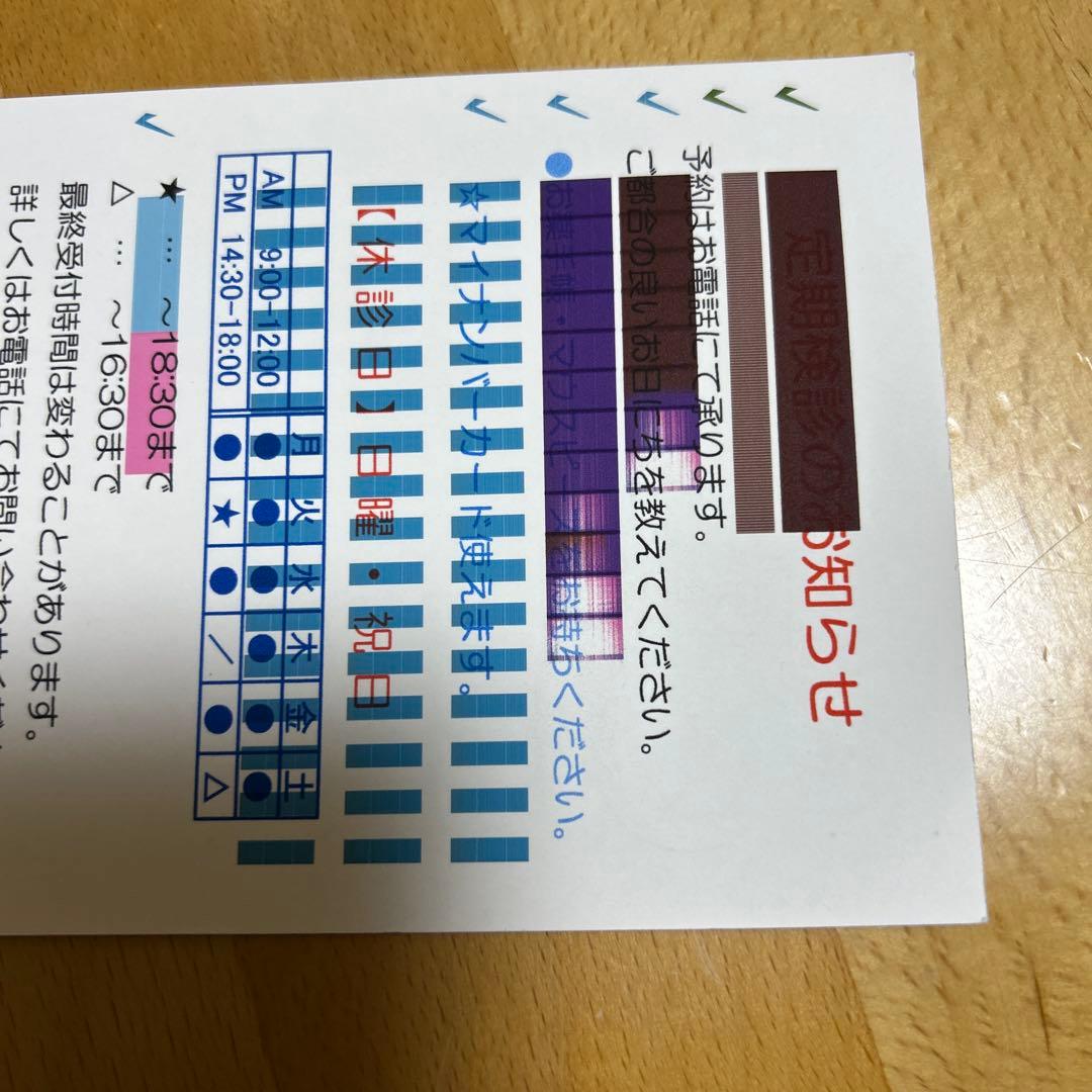 CASIO PCP-2400 インクジェットプリンター