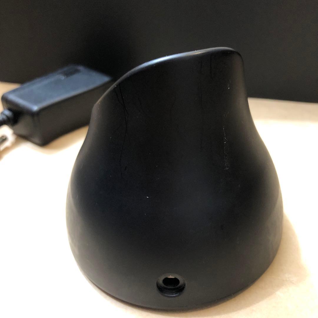 CARE PRO ケアプロ 超音波アイロン BUI-01 正規品