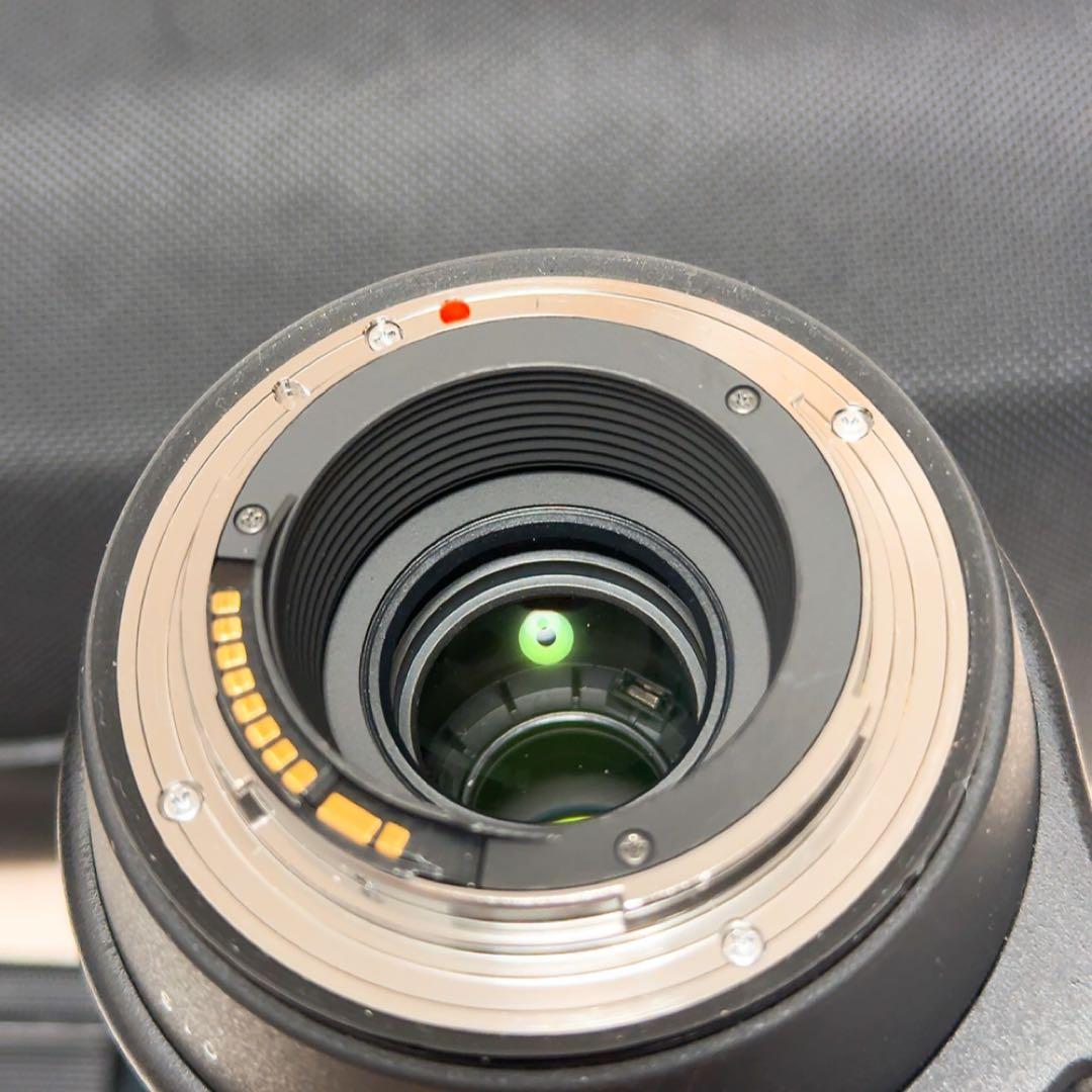 SIGMA 150-600mm F5-6.3 Contemporary レンズ