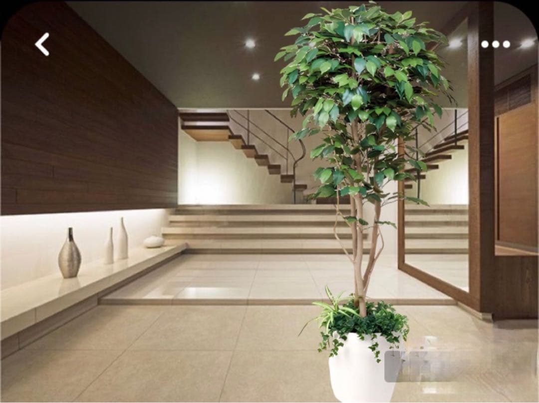 光触媒　人工観葉植物　ウォールグリーン　フェイクグリーン　ベンジャミン1.8d
