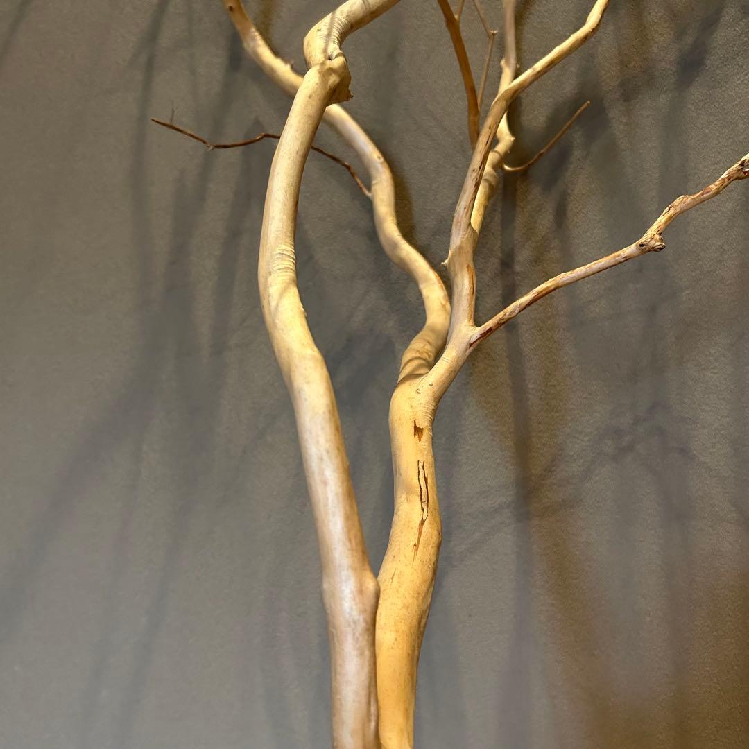 [専用出品]木材インテリア サルスベリ