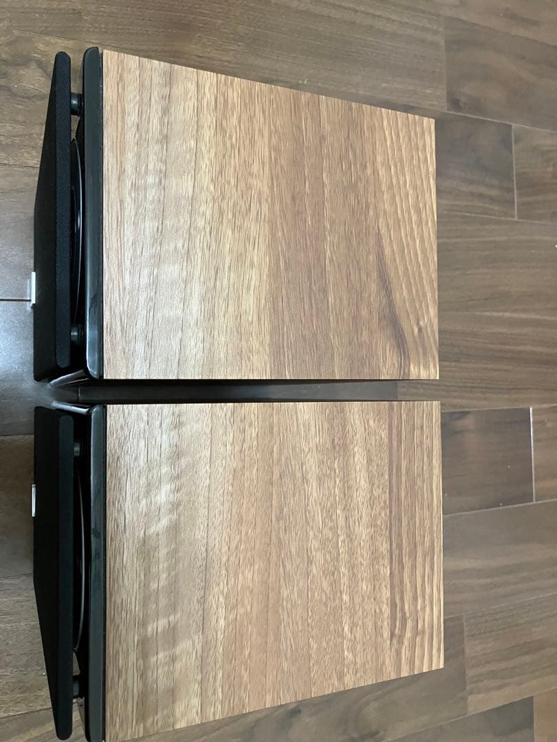 DALI ZENSOR PICO ウォールナット ペア