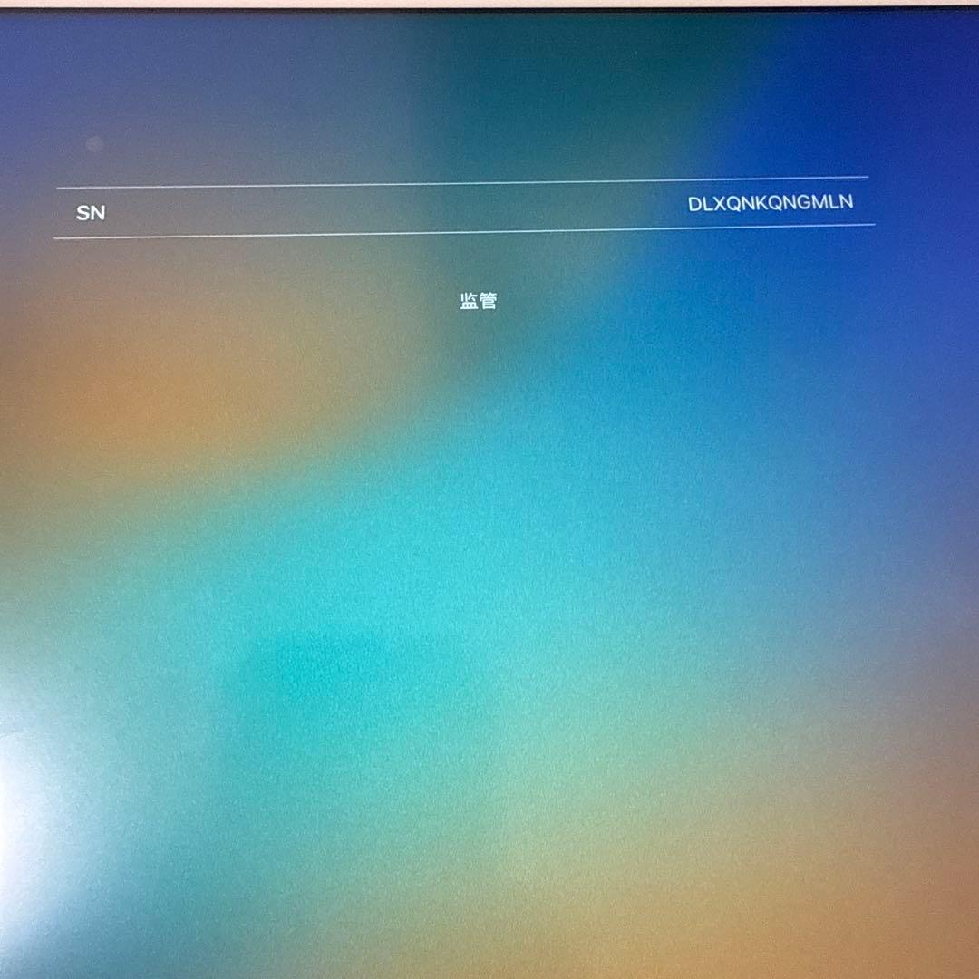 iPad Pro 第1世代 12.9インチ + Apple Pencil付き