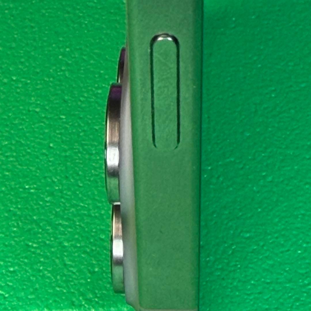 【2ケース付】Apple iPhone 15 Pro Max 1TB