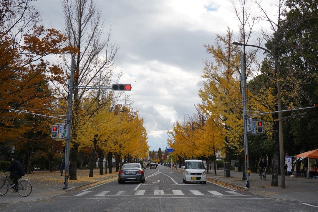 SONY α7 III + TAMRON 70-300mm レンズ