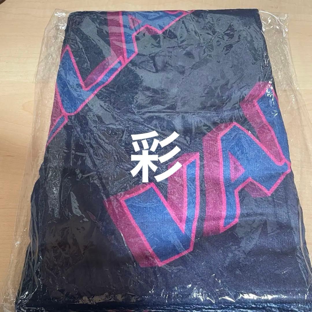 vallad studio ビーチタオル　着用　io yurino 大橋リナ