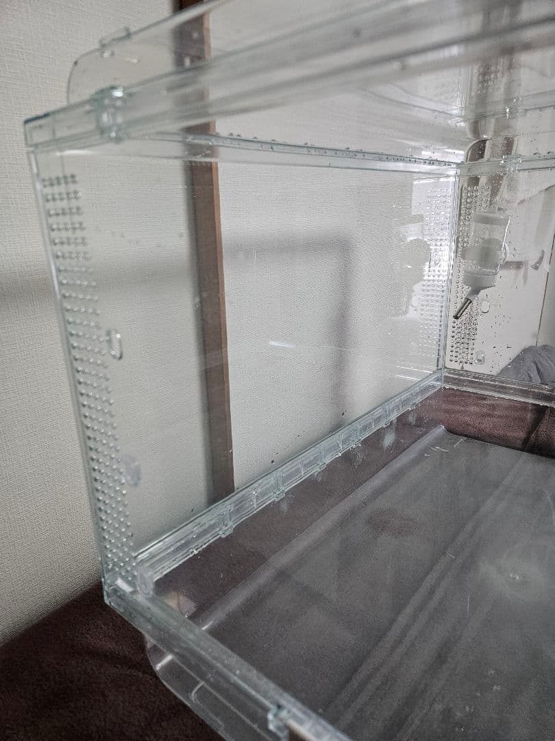 GEX グラスハーモニー　600　+　その他おまけ