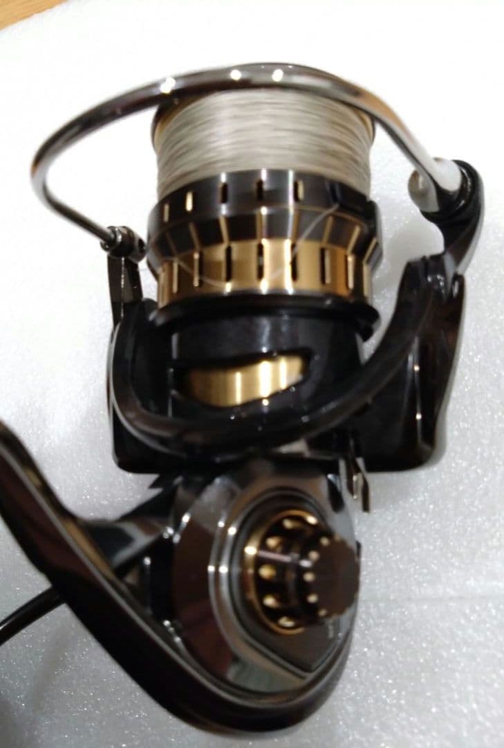 ダイワ イグジストSLP WORKS 2500-H