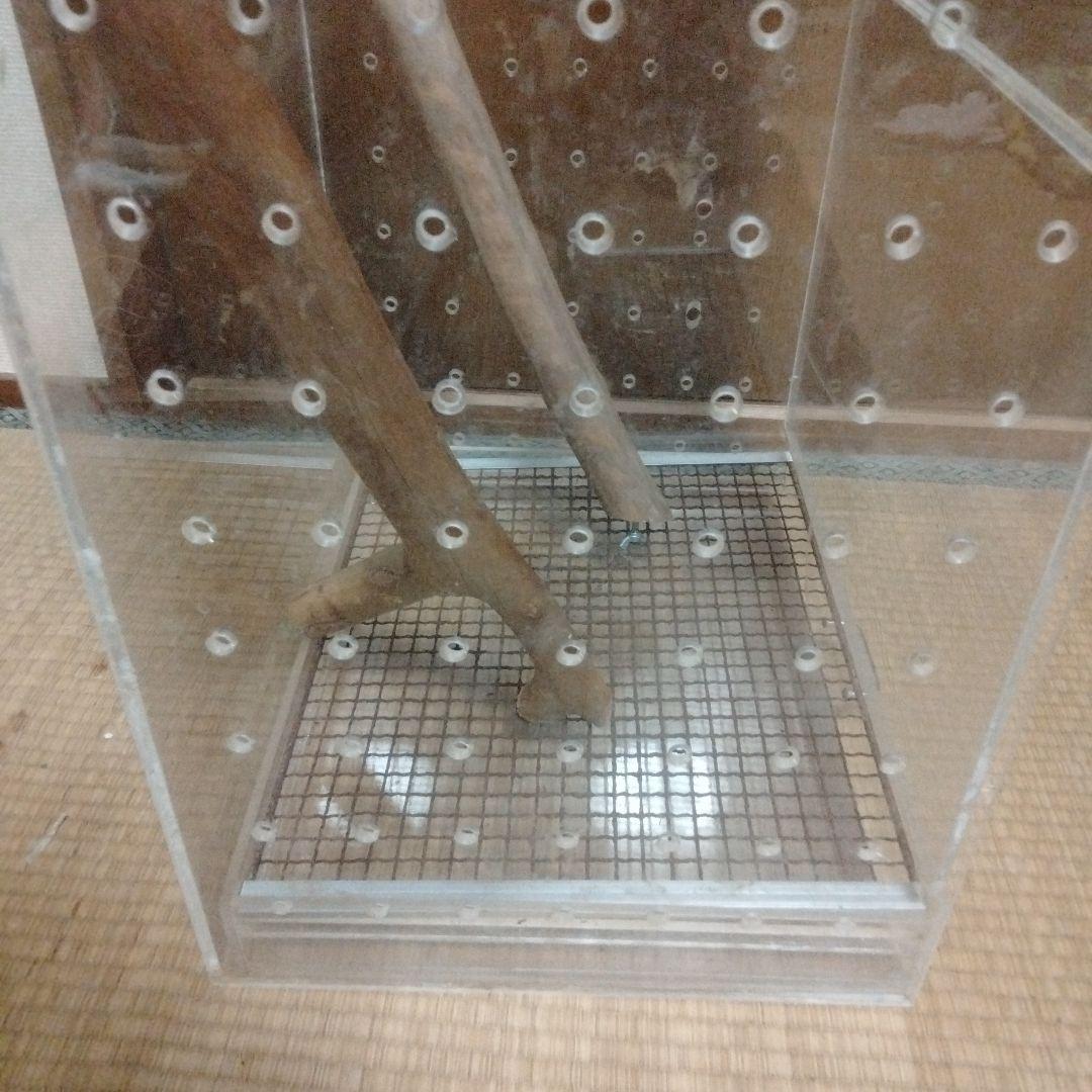 モモンガ用　アクリルケージ
