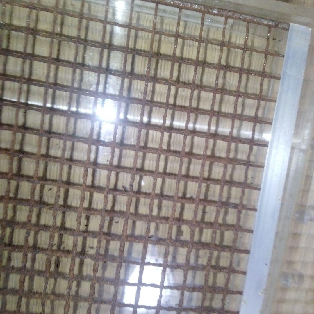 モモンガ用　アクリルケージ