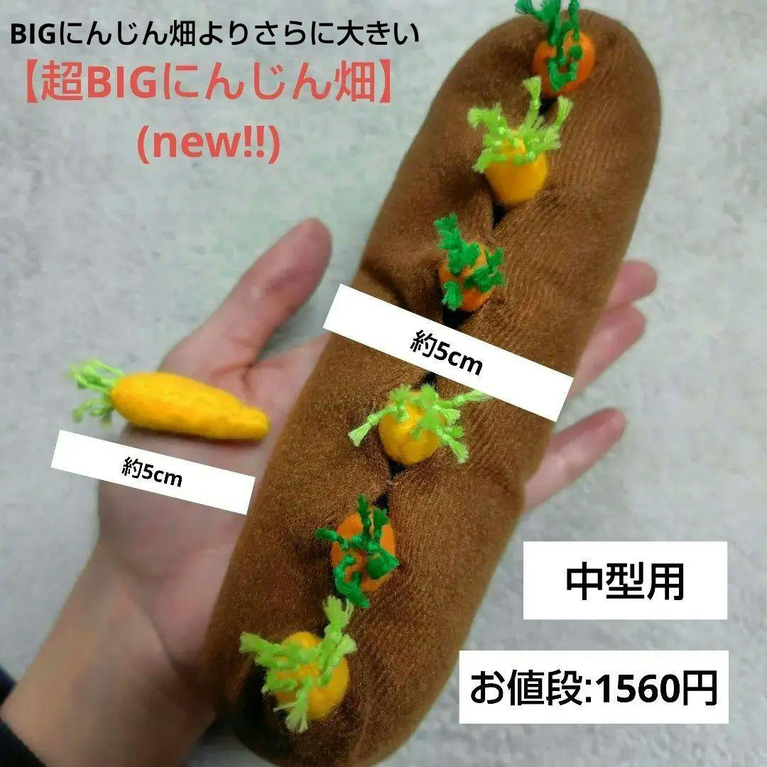 【オーダー用】にんじん畑　おもちゃ　ぬいぐるみ　バードトイ