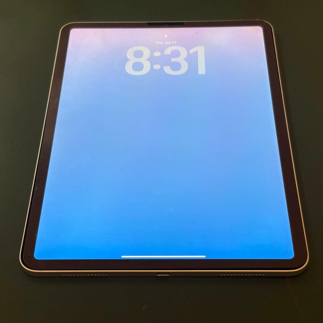 Apple iPad Pro 11インチ Apple pencil