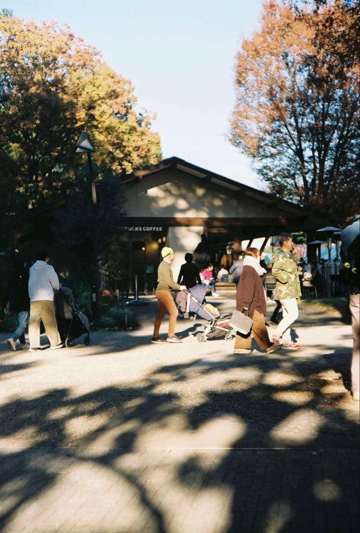 LEICA M6 0.72 と Summicron 5cm f2