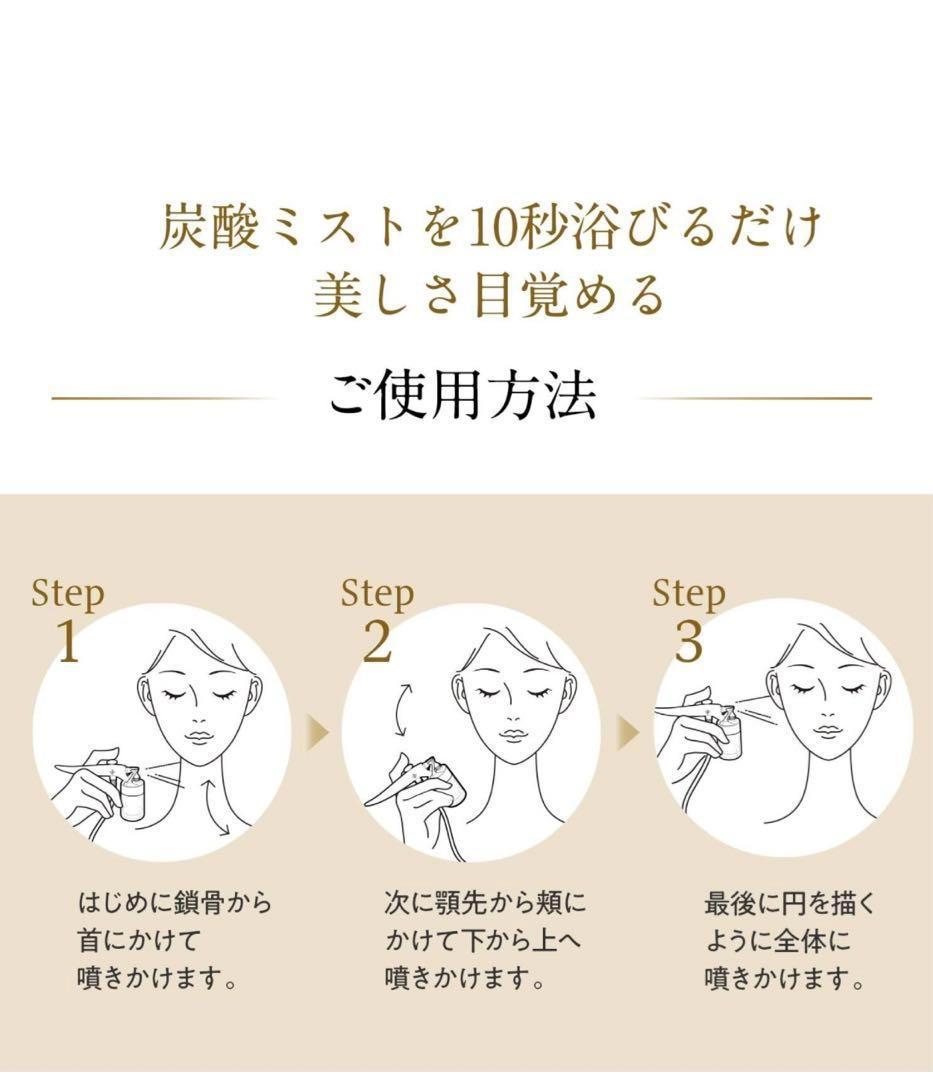 MTG プロージョン 炭酸ミストユニット 1台