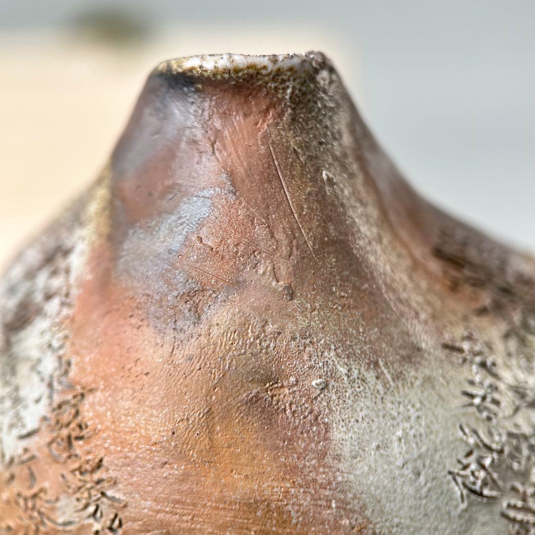 石田安弘 備前焼梅宝瓶 般若心经 人気作者 急須 共箱 共布 茶注 煎茶 茶道具