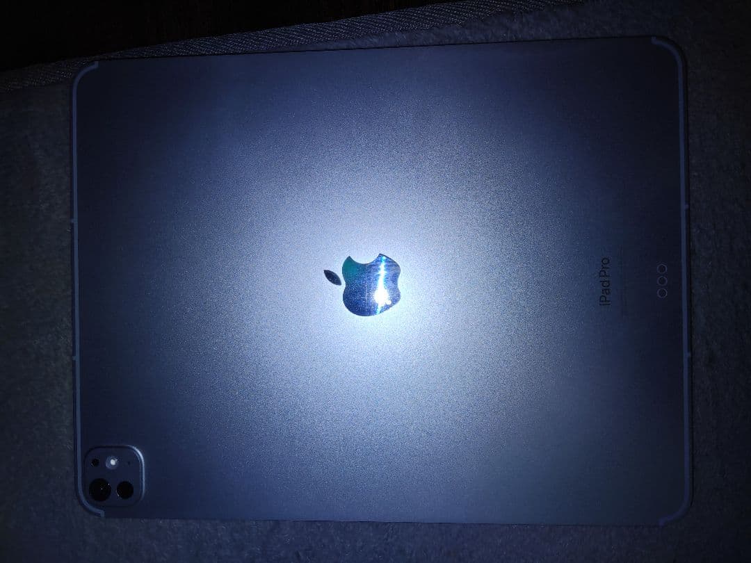 Apple iPad Pro１３インチ シルバー 本体 箱付きM4新品