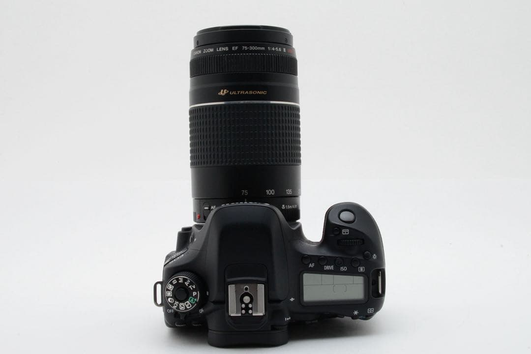 Canon EOS 80D望遠レンズセット/ Canon 75-300mm