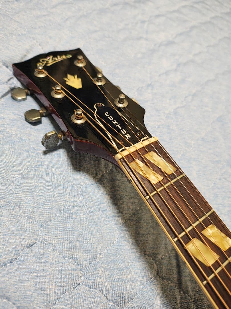 AriaハミングバードWD-33/ハードケース