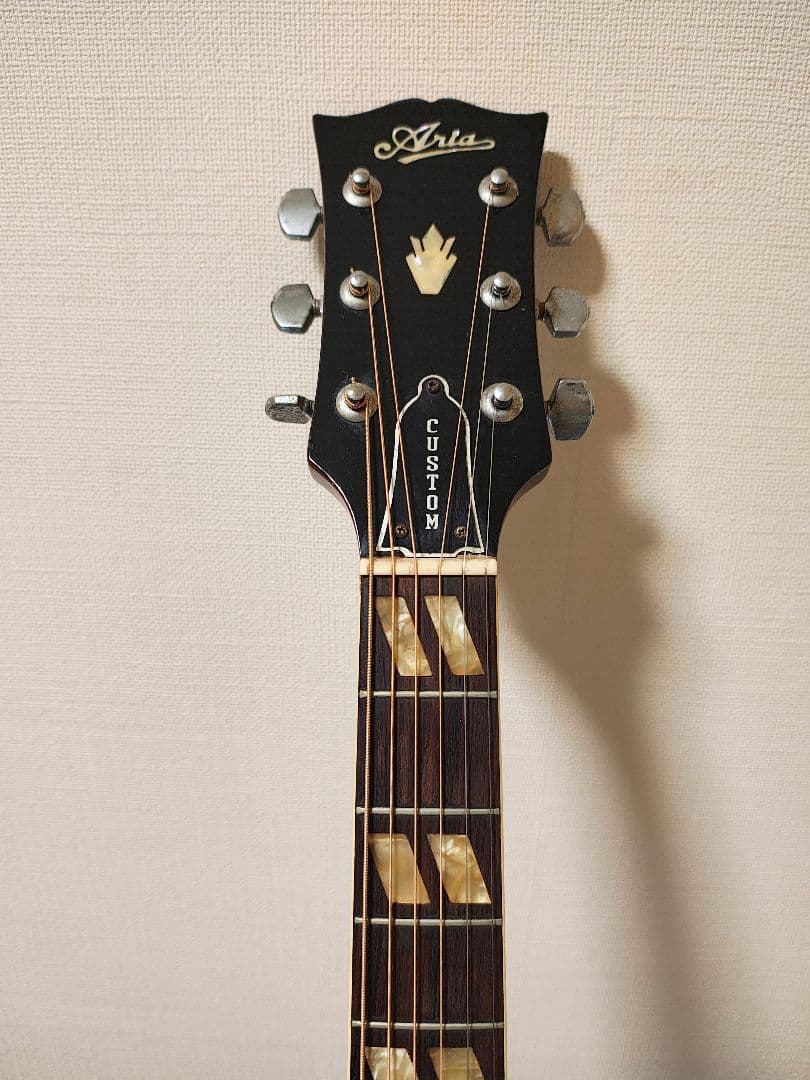 AriaハミングバードWD-33/ハードケース