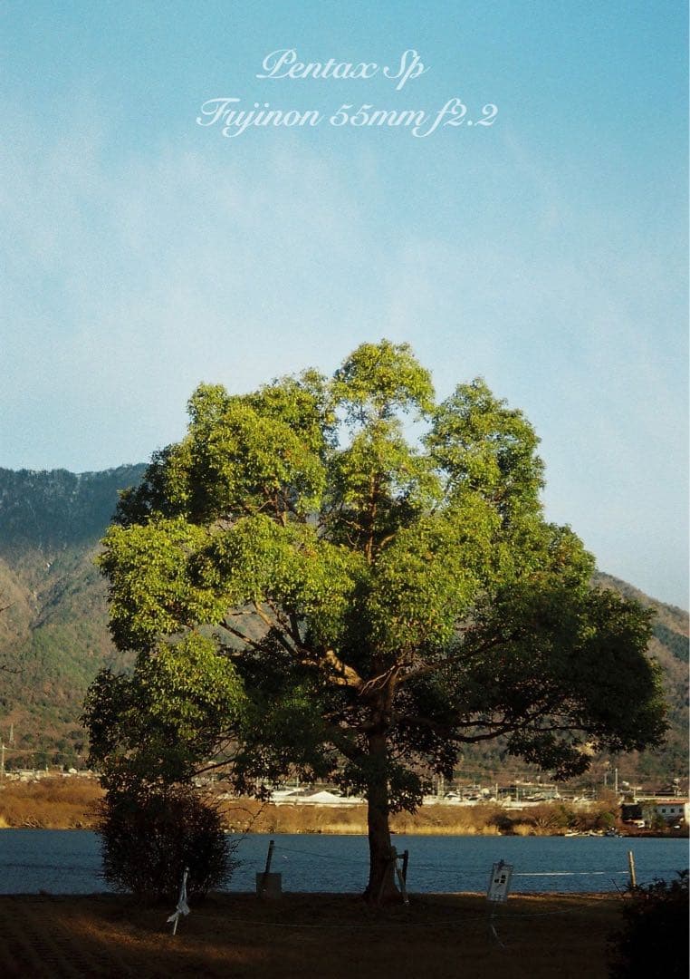 ★バブルボケ！完動美品＊初期保証★pentax sp／フジノンf2.2★作例多数