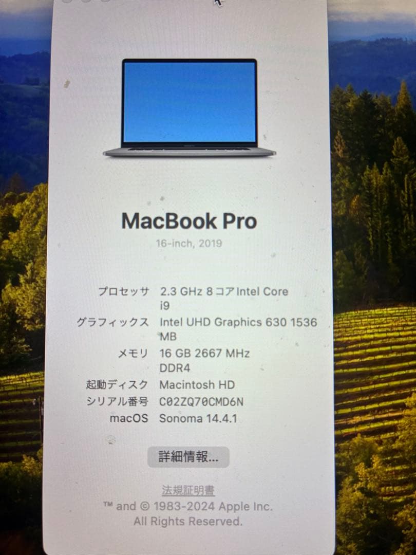 【美品】 難アリ Apple MacBook Pro 2019年 マックブック