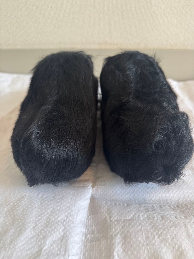 最終処分セール‼️JIL SANDER ブラックファーサンダル