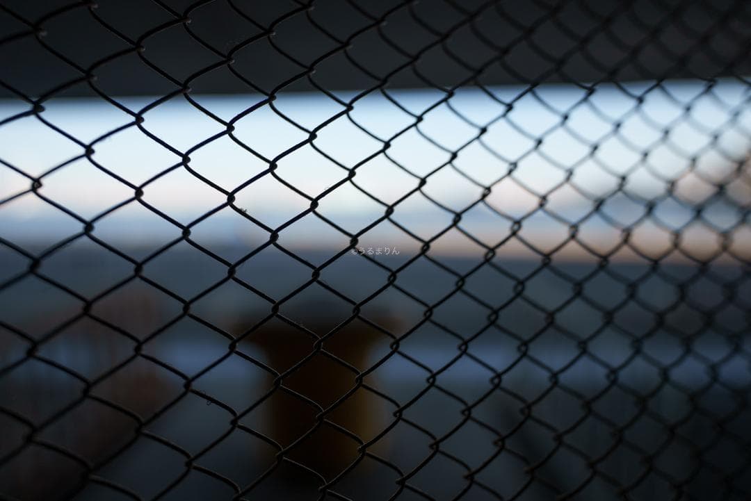 YoshiT様 VLOG時代の標準レンズ！SONY FE 20mm F1.8 G