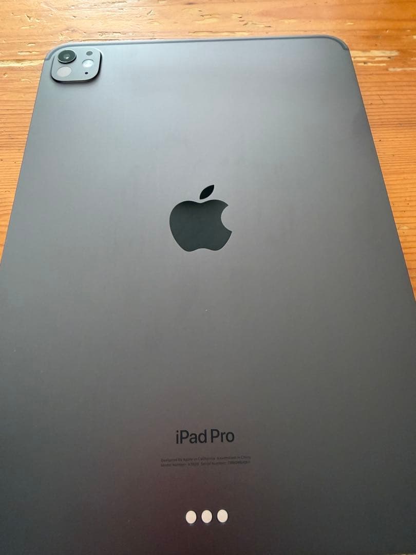 iPad 11インチ M4 第5世代 本体 WiFiモデル256GB