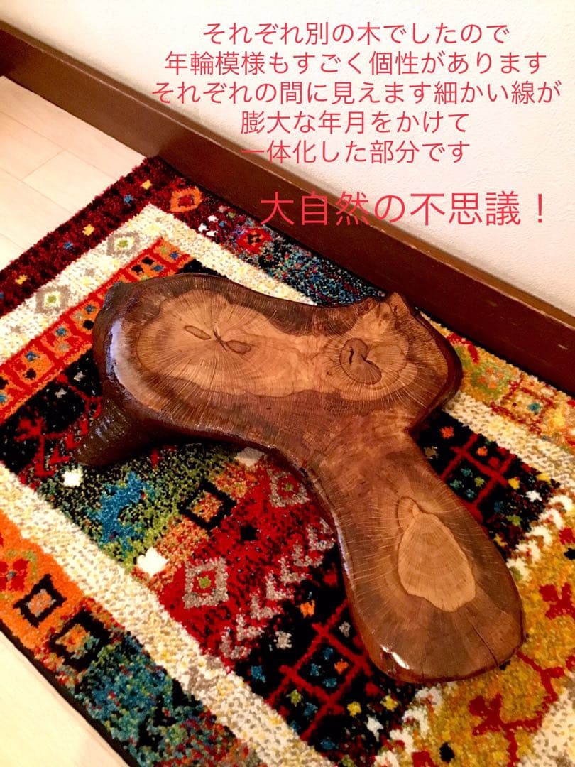 合体樹＊超絶ワイルドな森の切り株テーブル】3本の木々が一体化した希少部位